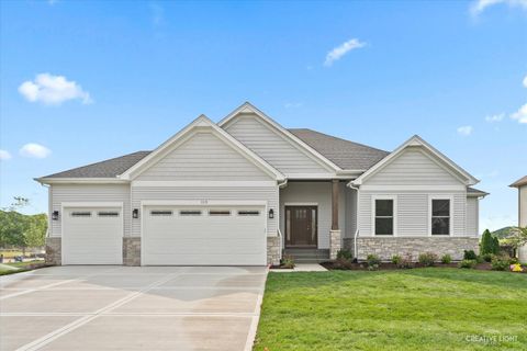 482 Deerfield Drive Oswego IL 60543