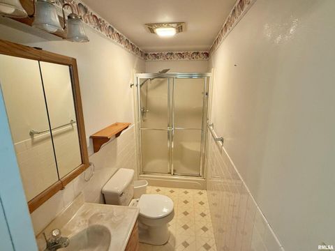 Tiny photo for 601 E 5TH Street, Metropolis, IL 62960 (MLS # EB459778)