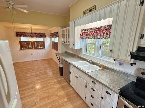 Tiny photo for 601 E 5TH Street, Metropolis, IL 62960 (MLS # EB459778)