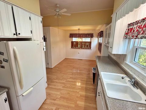 Tiny photo for 601 E 5TH Street, Metropolis, IL 62960 (MLS # EB459778)