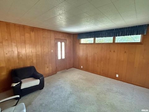 Tiny photo for 601 E 5TH Street, Metropolis, IL 62960 (MLS # EB459778)