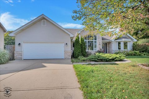 513 Pueblo Drive New Lenox IL 60451