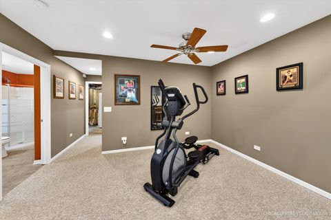 Tiny photo for 1259 Larkspur Court, Pingree Grove, IL 60140 (MLS # 12623343)
