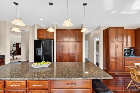 Tiny photo for 1259 Larkspur Court, Pingree Grove, IL 60140 (MLS # 12623343)