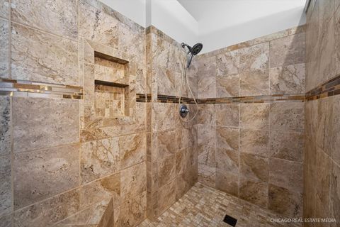Tiny photo for 1259 Larkspur Court, Pingree Grove, IL 60140 (MLS # 12623343)