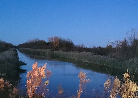 Tiny photo for 21882 410 East Street, Sheffield, IL 61361 (MLS # 12515383)