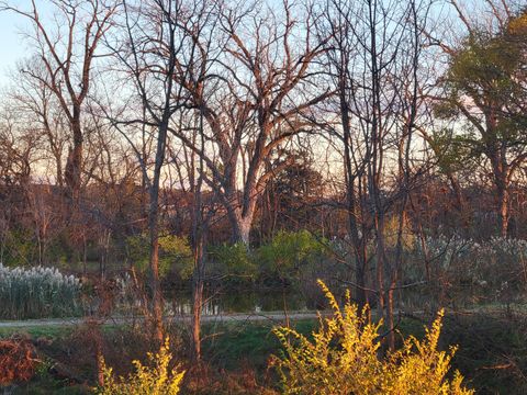 Tiny photo for 21882 410 East Street, Sheffield, IL 61361 (MLS # 12515383)