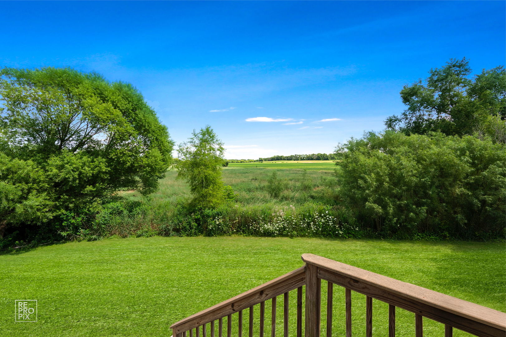1558 Fox Sedge Trail