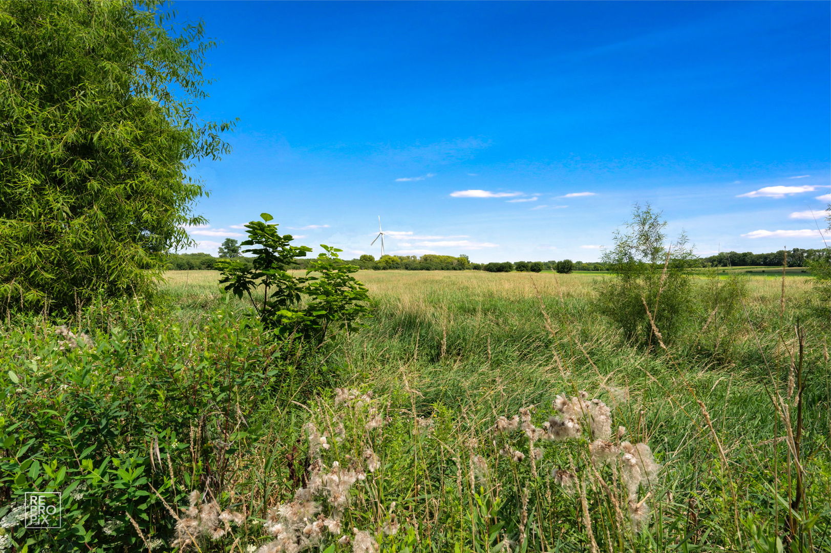 1558 Fox Sedge Trail
