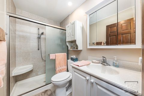 Tiny photo for 923 Tim Tam Circle, Naperville, IL 60540 (MLS # 12501251)