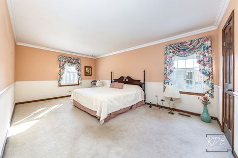 Tiny photo for 923 Tim Tam Circle, Naperville, IL 60540 (MLS # 12501251)