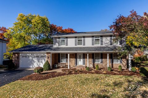 Photo of 923 Tim Tam Circle, Naperville, IL 60540 (MLS # 12501251)