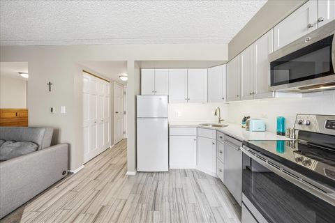 Tiny photo for 255 S West Avenue S #413, Elmhurst, IL 60126 (MLS # 12547936)