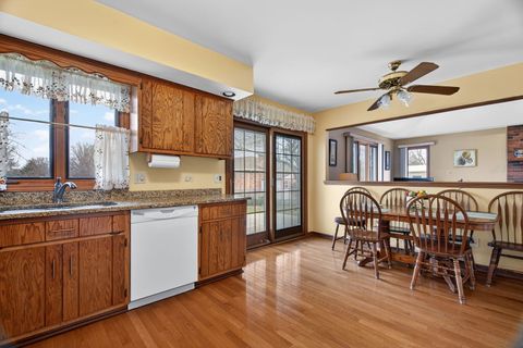 Tiny photo for Homer Glen, IL 60491 (MLS # 12585460)