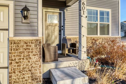 Tiny photo for 601 Ironwood Avenue, Oswego, IL 60543 (MLS # 12585001)