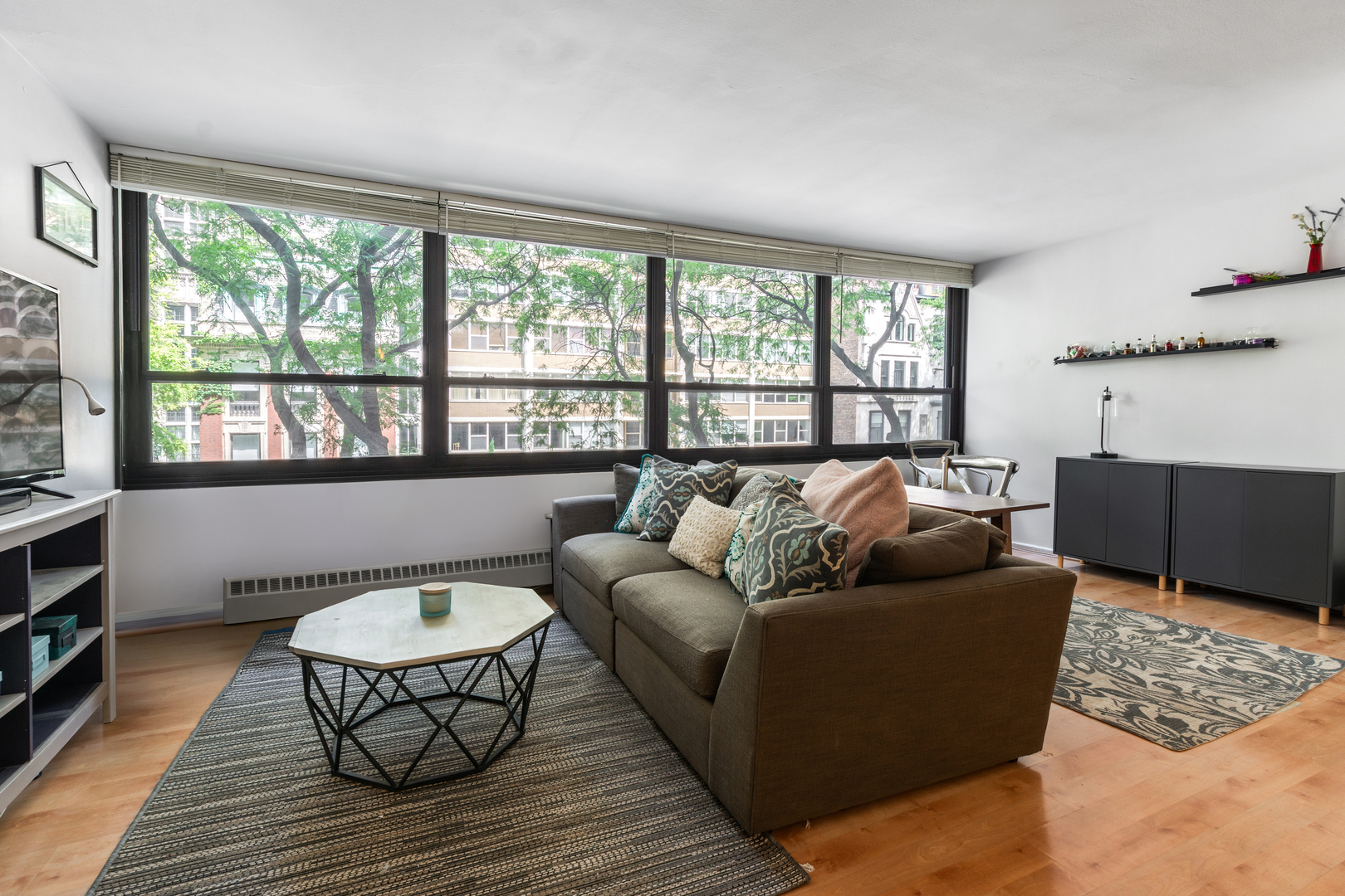 33 E Cedar Street 3F