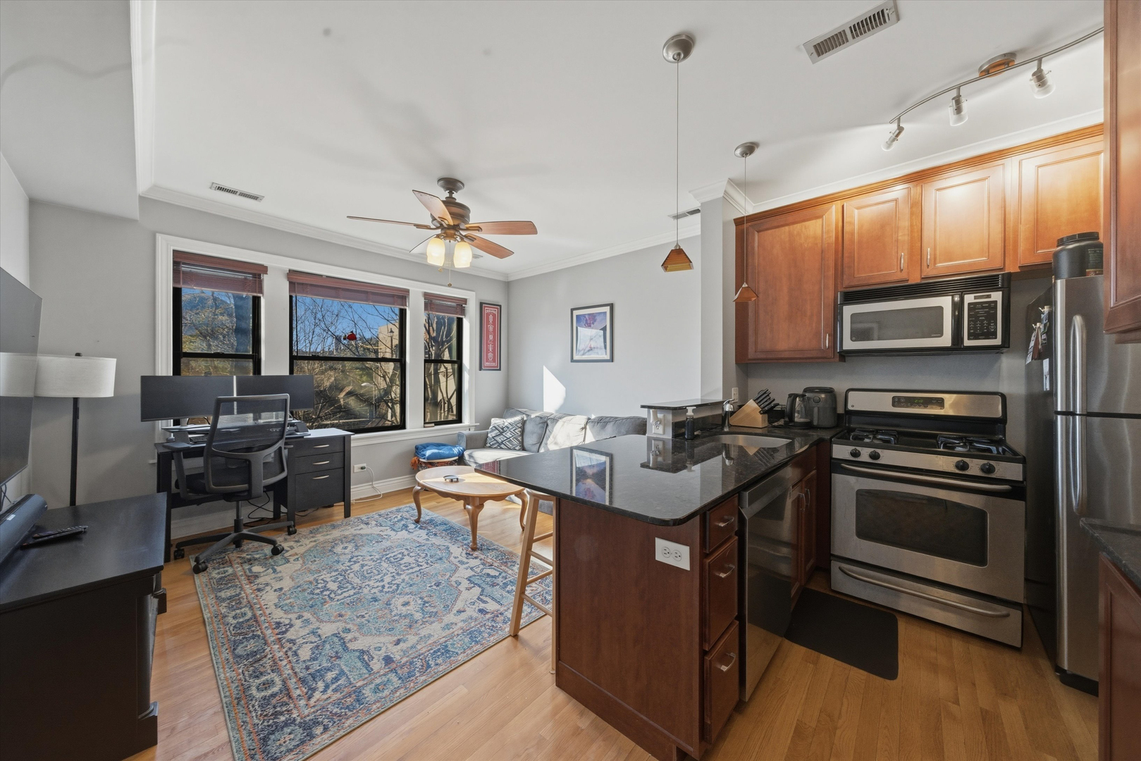 558 W Deming Place 2