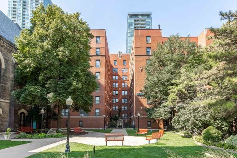 1140 N La Salle Drive 817 Chicago IL 60610