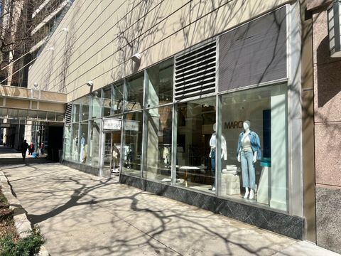 110 E Delaware Place Chicago IL 60611