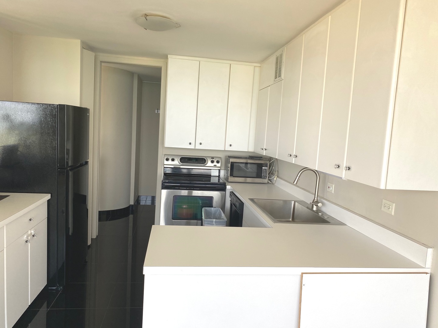 505 N LAKE SHORE Drive 1804