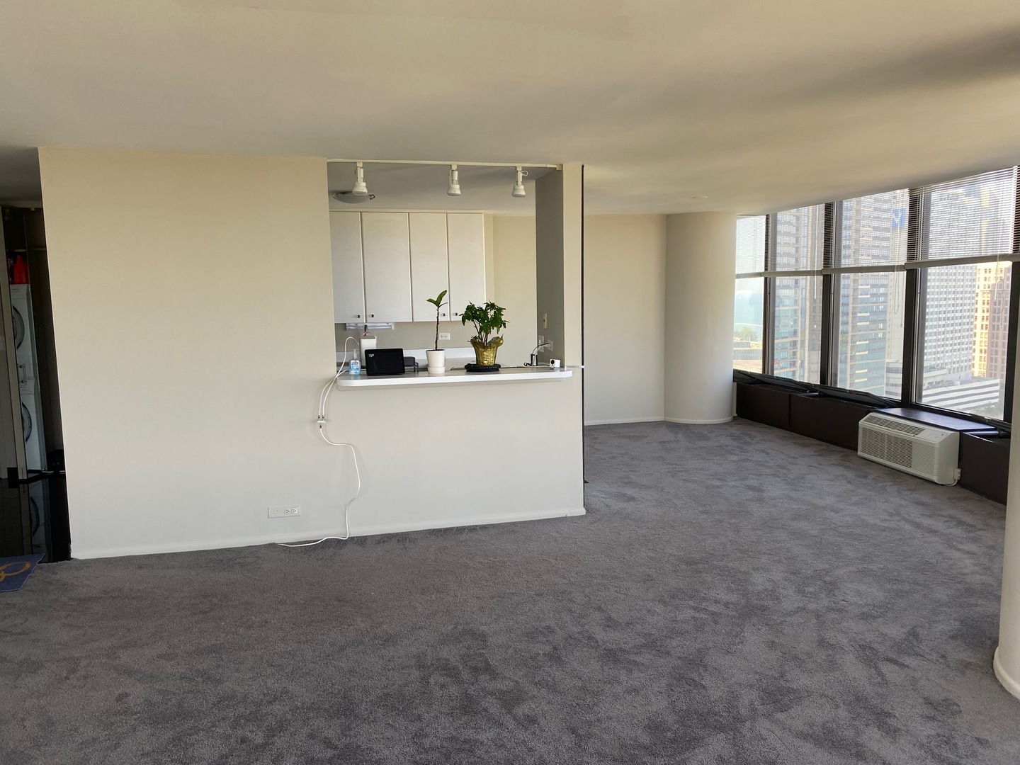 505 N LAKE SHORE Drive 1804