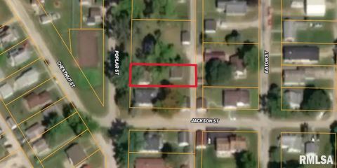 Tiny photo for 618 POPLAR Street, Savanna, IL 61074 (MLS # QC4268961)