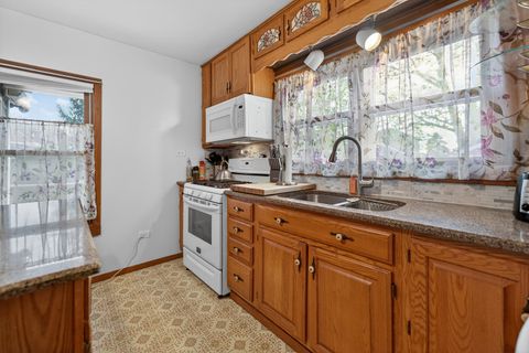 Tiny photo for Elgin, IL 60123 (MLS # 12584854)