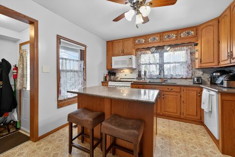 Tiny photo for Elgin, IL 60123 (MLS # 12584854)