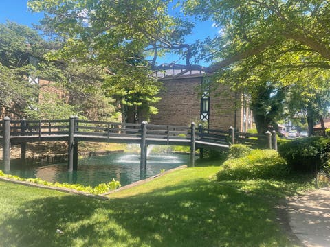 Tiny photo for 13622 Royal Court #824, Crestwood, IL 60418 (MLS # 12684863)