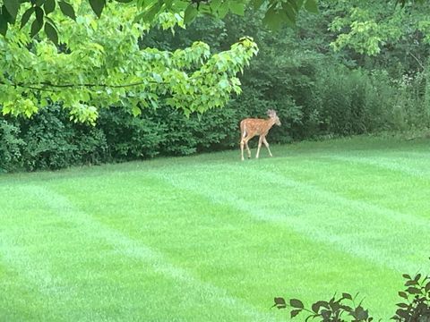 Tiny photo for 31470 N Reigate Lane, Libertyville, IL 60048 (MLS # 12601560)