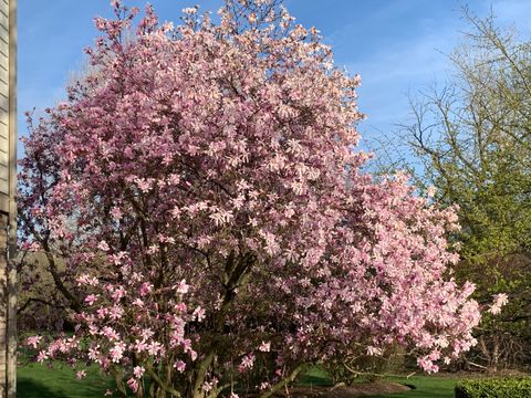 Tiny photo for 31470 N Reigate Lane, Libertyville, IL 60048 (MLS # 12601560)