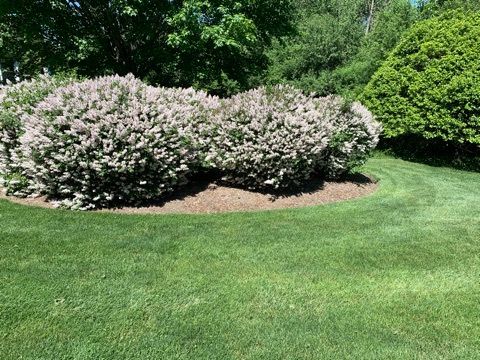 Tiny photo for 31470 N Reigate Lane, Libertyville, IL 60048 (MLS # 12601560)