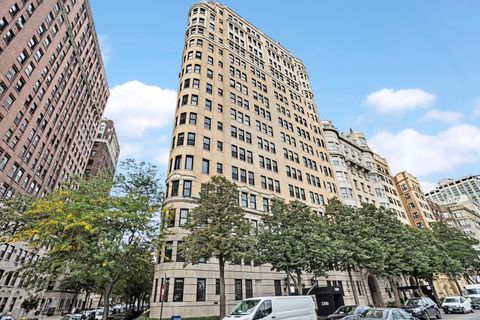 3300 N Lake Shore Drive 4D Chicago IL 60657