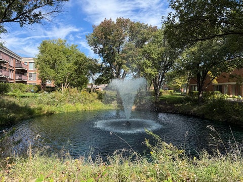 Tiny photo for 422 Kelburn Road #325, Deerfield, IL 60015 (MLS # 12734855)