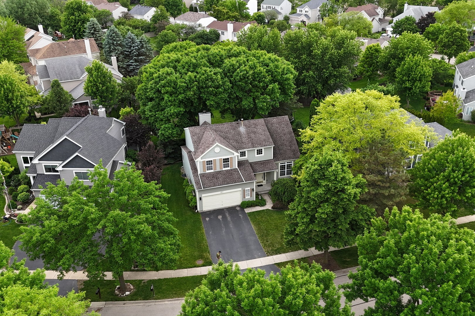 1211 Laurel Lane