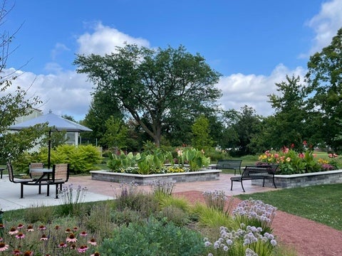 Tiny photo for 1462 Dayton Place, Des Plaines, IL 60018 (MLS # 12720227)
