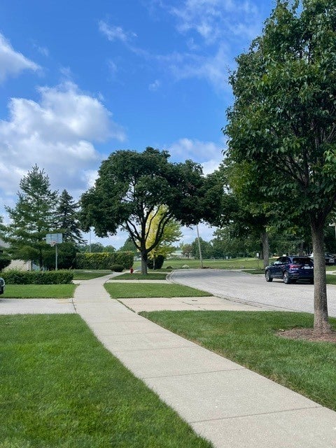 Tiny photo for 1462 Dayton Place, Des Plaines, IL 60018 (MLS # 12720227)