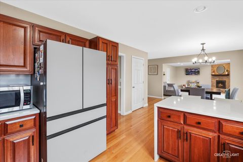 Tiny photo for 8146 Hampton Drive, Woodridge, IL 60517 (MLS # 12558495)