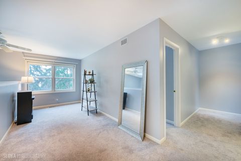 Tiny photo for 229 Spring Point Drive, Carpentersville, IL 60110 (MLS # 12610707)