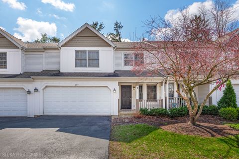 Photo of 229 Spring Point Drive, Carpentersville, IL 60110 (MLS # 12610707)