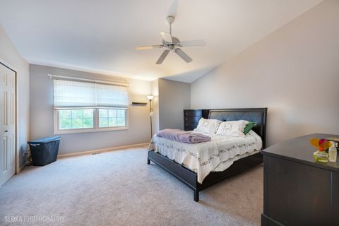 Tiny photo for 229 Spring Point Drive, Carpentersville, IL 60110 (MLS # 12610707)