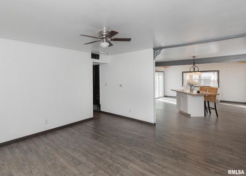 Tiny photo for 444 E 6TH Street, Milan, IL 61264 (MLS # QC4268950)