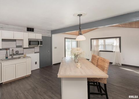 Tiny photo for 444 E 6TH Street, Milan, IL 61264 (MLS # QC4268950)