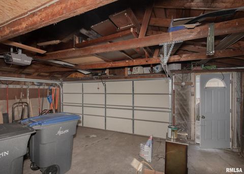 Tiny photo for 444 E 6TH Street, Milan, IL 61264 (MLS # QC4268950)