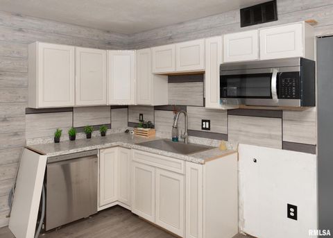 Tiny photo for 444 E 6TH Street, Milan, IL 61264 (MLS # QC4268950)