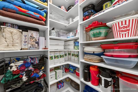 Tiny photo for 12316 Bartelt Lane, Huntley, IL 60142 (MLS # 12553225)