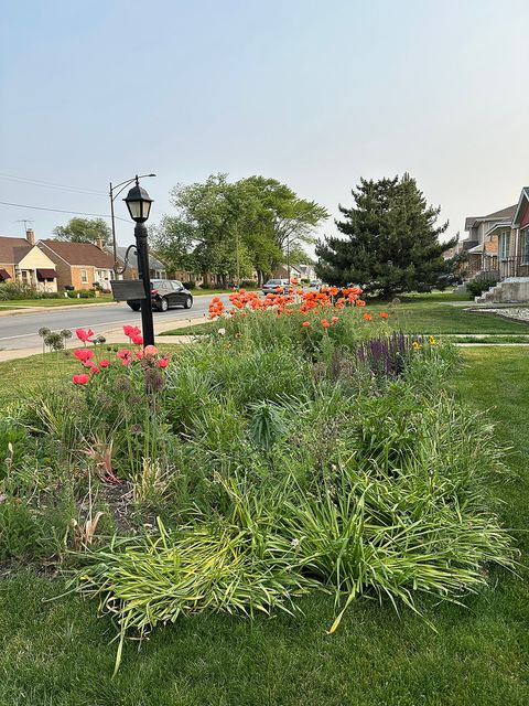 Tiny photo for 10639 S KEDZIE Avenue, Chicago, IL 60655 (MLS # 12560244)