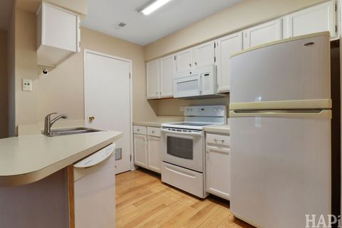 Tiny photo for 1297 Wyndham Lane #103, Palatine, IL 60074 (MLS # 12519873)