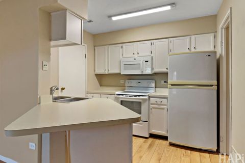 Tiny photo for 1297 Wyndham Lane #103, Palatine, IL 60074 (MLS # 12519873)