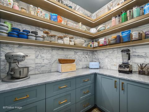 Tiny photo for Chicago, IL 60611 (MLS # 12565417)